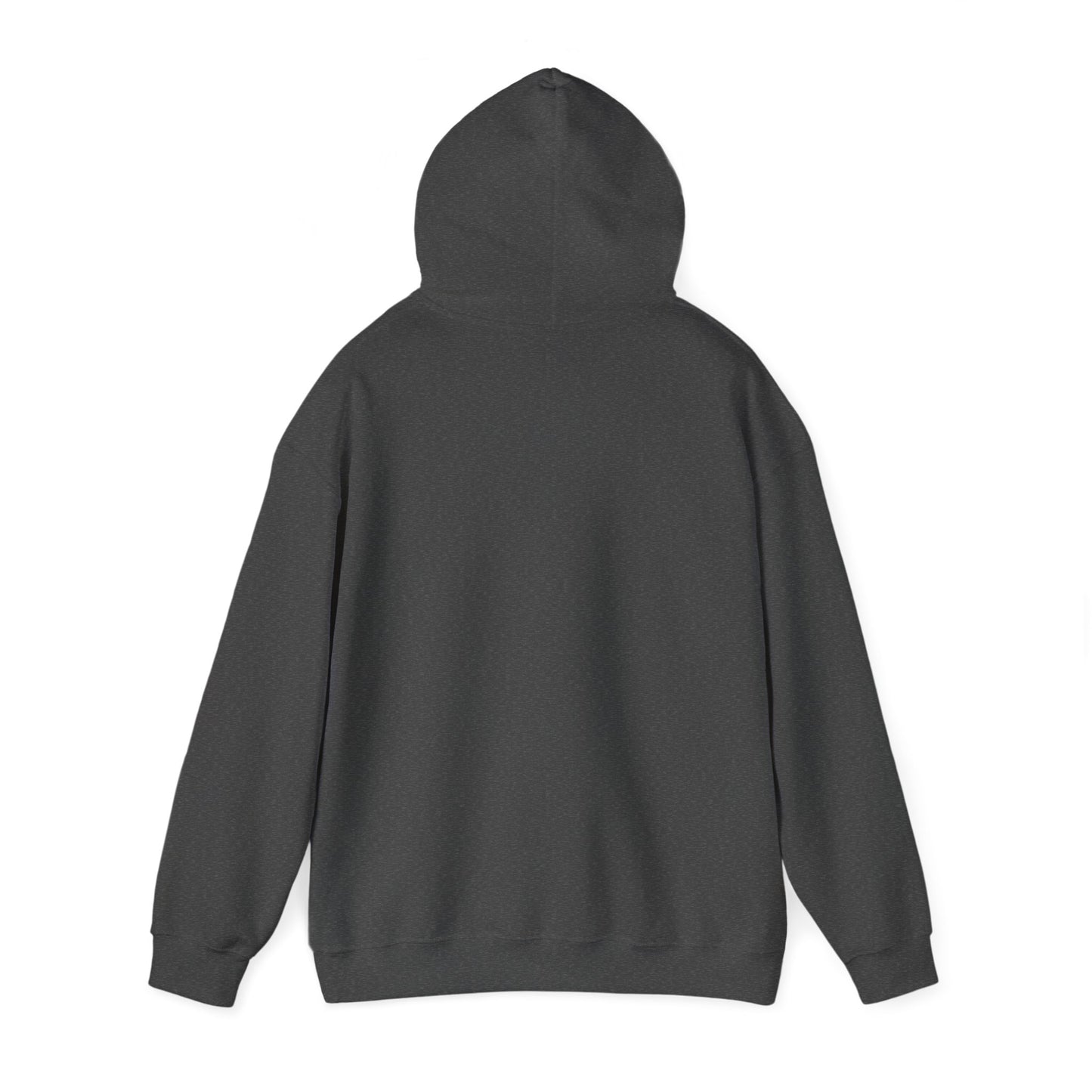 Born To Play Hockey Hoodie