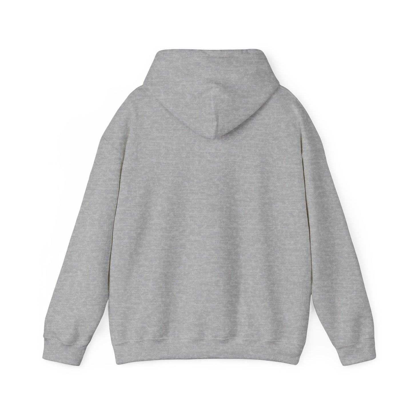 At The Ice Rink Hoodie