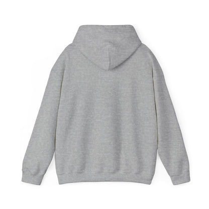 At The Ice Rink Hoodie